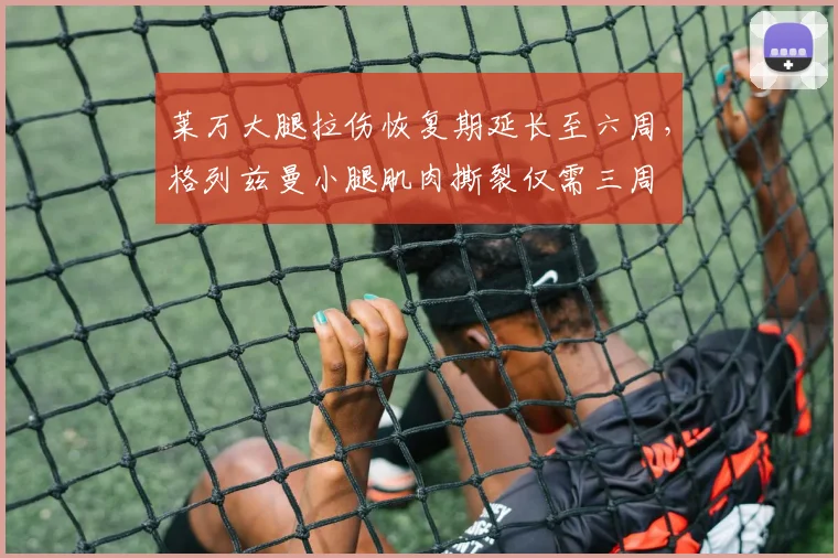 莱万大腿拉伤恢复期延长至六周，格列兹曼小腿肌肉撕裂仅需三周